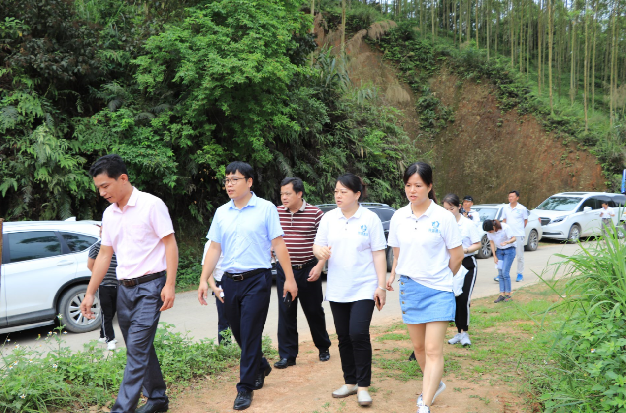 防城港市淮营乡人口_防城港市上思县公正乡