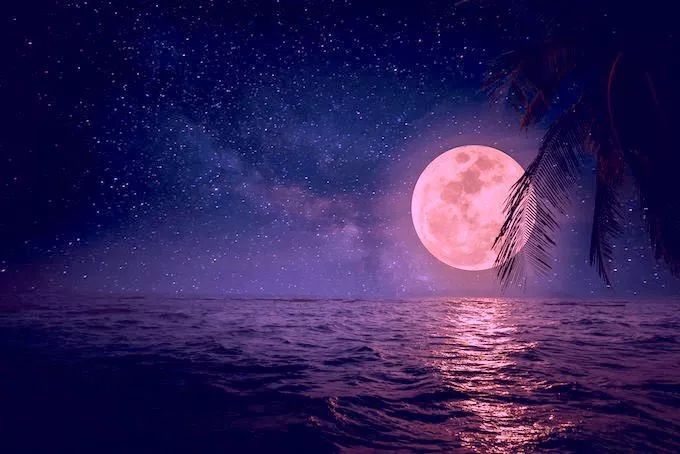 今日话题 | 日本网友晒出"平成最后的满月",今夜的月色,太美太惊艳了!