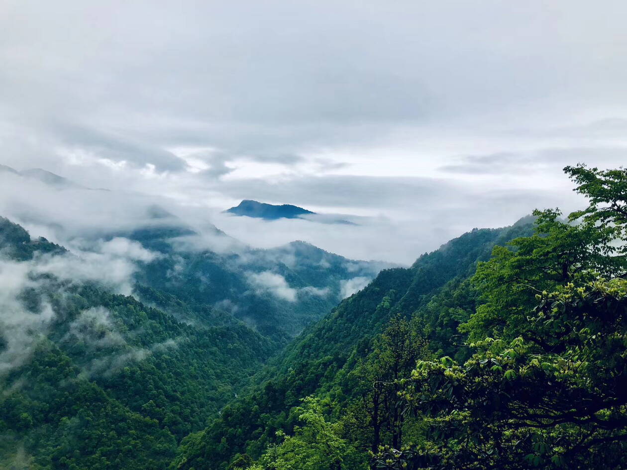 瓦屋山森林公园位于四川盆地西沿的眉山市洪雅县境内,隶属于瓦屋山