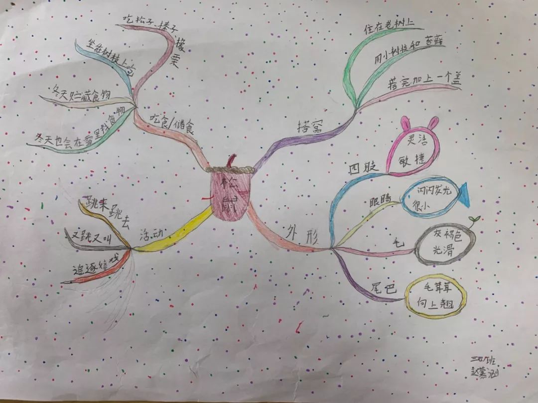 单元整合促思维,实践活动展风采