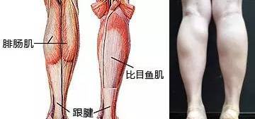 如何减大腿内侧肌 77da230d29f04c84bfbab9f37581bf5b.jpeg