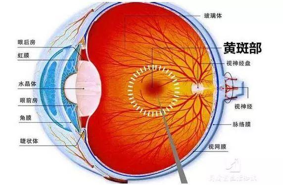                     又一个1岁大的宝宝眼睛失明，年轻父母们都长点心