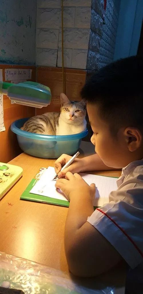 7caddbf28fb54b36932bd6fc113e4d3c.jpeg