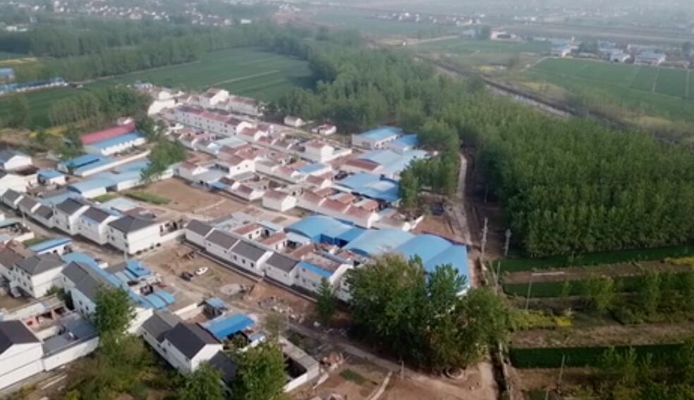 宿迁市洋河镇乡镇GDP_生态经济示范镇系列之洋河镇(3)