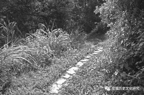 我家湖北佬，移民到皖南