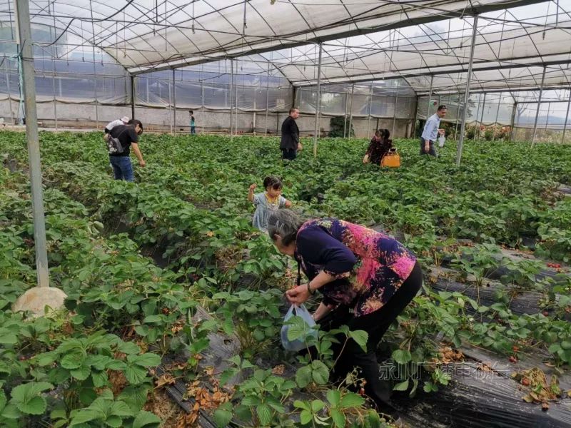 重庆永川五一gdp_重庆哪个区县最富 哪个区县最穷 最新 GDP 排名没想到第一名是