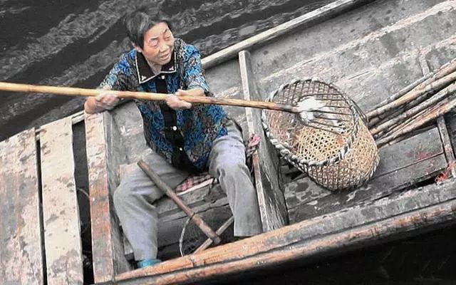                     儿子叉鱼，父母收鱼，好一个养儿防老的真实感人场景
