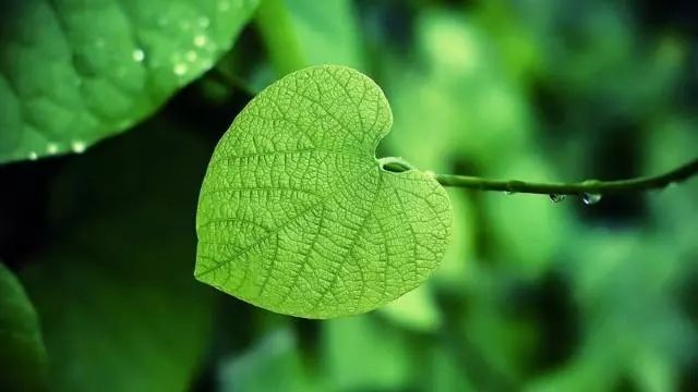不是你的菜,别去掀锅盖!(说得好) 澳门皇冠滚球