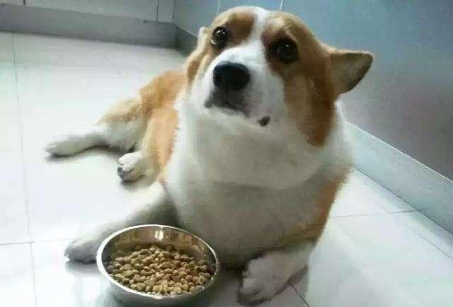 a0388fe9464b408dac0bd6153e8eecff.jpeg