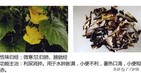 b55a9a2a127e498c8779503f57b489d9.jpeg