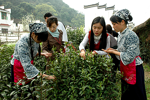 嫌浪费时间和金钱韩国年轻人拒绝参加别人婚礼
嫌浪费时间和金钱韩国年轻人拒绝参加别人婚礼