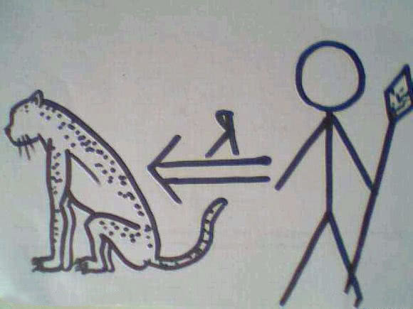 一个扫帚等于一千金子猜成语_金子涵(3)