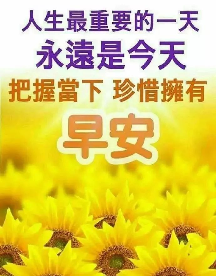 cfc01cd2e49743bc82a9fb2ecc02f1ab.jpeg