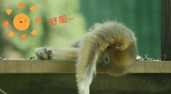 d963fa93975944bf95db60c3f3ce4aa0.jpeg