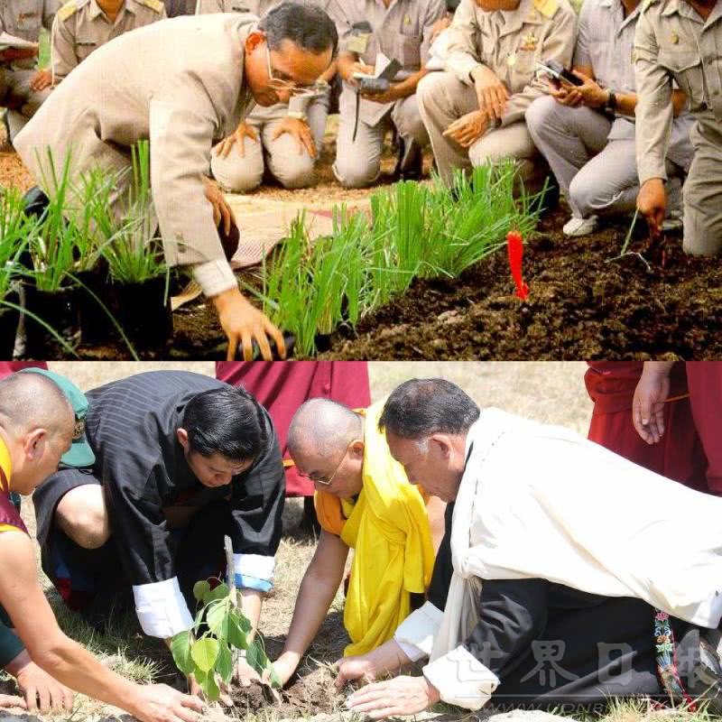 “为什么泰国人，如此爱戴不丹国王”