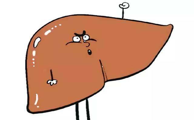 什么叫免疫耐受 dd664a7b6c5648a8894d2dff27030d36.jpeg