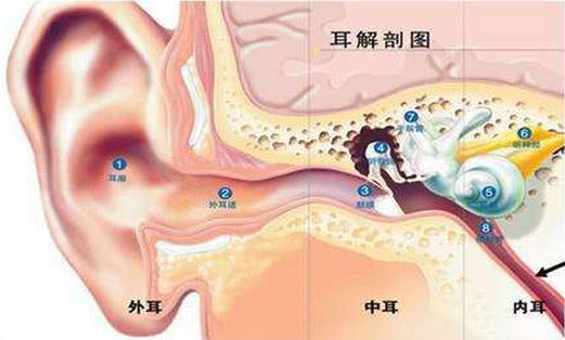                     3岁男童耳朵不舒服，医生取出的东西，让人觉得不可思议！