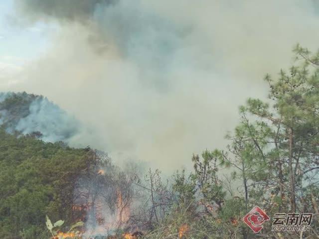 姚安县人口_云南姚安发生6.0级地震1人死亡 昆明现奇异天象(2)