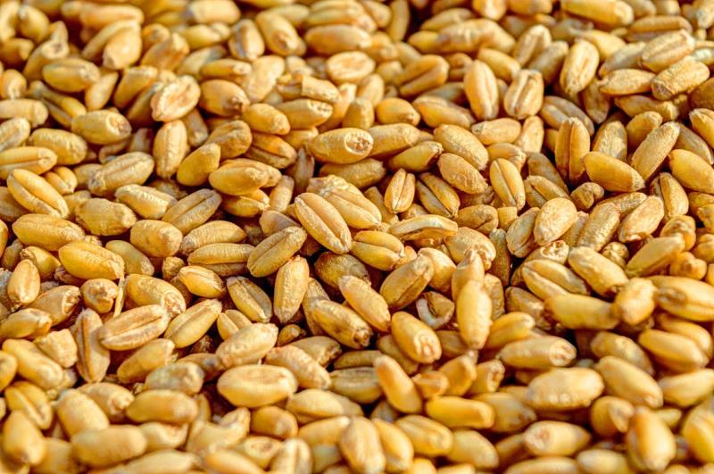 小麦面粉机_小麦面粉机哪里有卖的_小型小麦面粉机