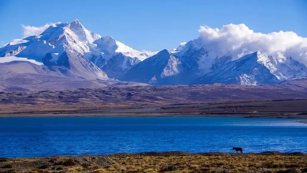 西藏著名山峰 ec49a9871a7a4bdb8c6c15ceab9c5412.jpeg