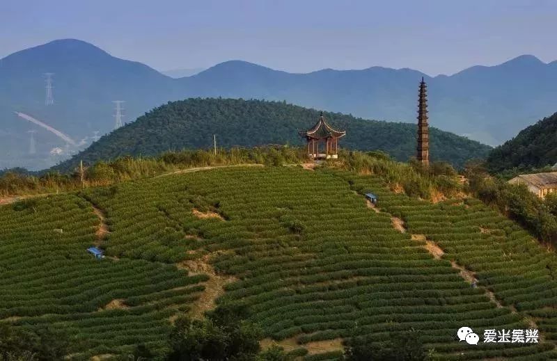 陆羽古道20古道位于梅峰大冲村内,沿途翠竹幽谷,蜿蜒而上到高山罗殿寺