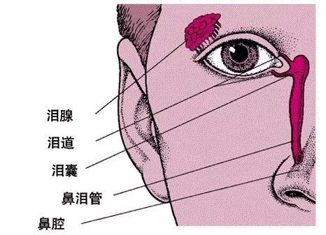                     宝宝眼屎多，家长处理不当险失明！眼屎多竟然也是病？
