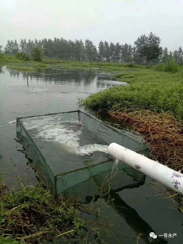 现在虾池夜间可以排水,加水达到换水的目的吗?