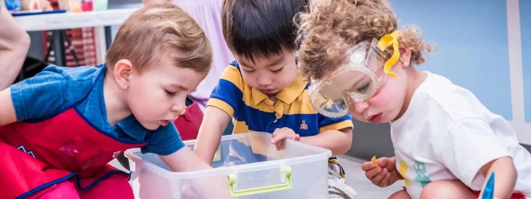 一年省3万!苏州还有性价比这么高的国际幼儿园?报名还送游泳课
一年省3万!苏州还有性价比这么高的国际幼儿园?报名还送游泳课