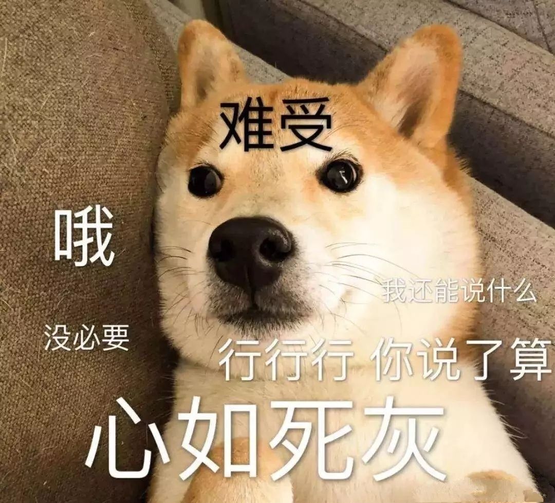 108a40a202864f3bab329cf7c3577e87.jpeg