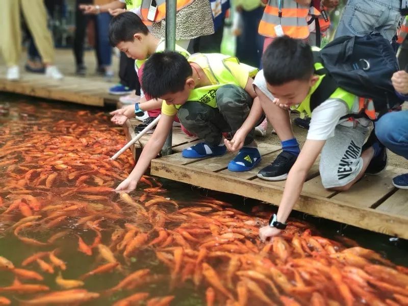 喂锦鲤鱼5月2日早上,在趣蘑菇亲子导师的带领下,大家在车上一起欢歌笑