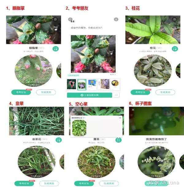 
AI产品分析（四）：形色“拍照识花”功能解析


