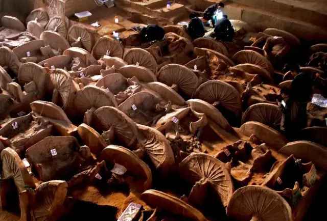 千年古县曲沃，“三晋之源”打造国际菜博盛会！