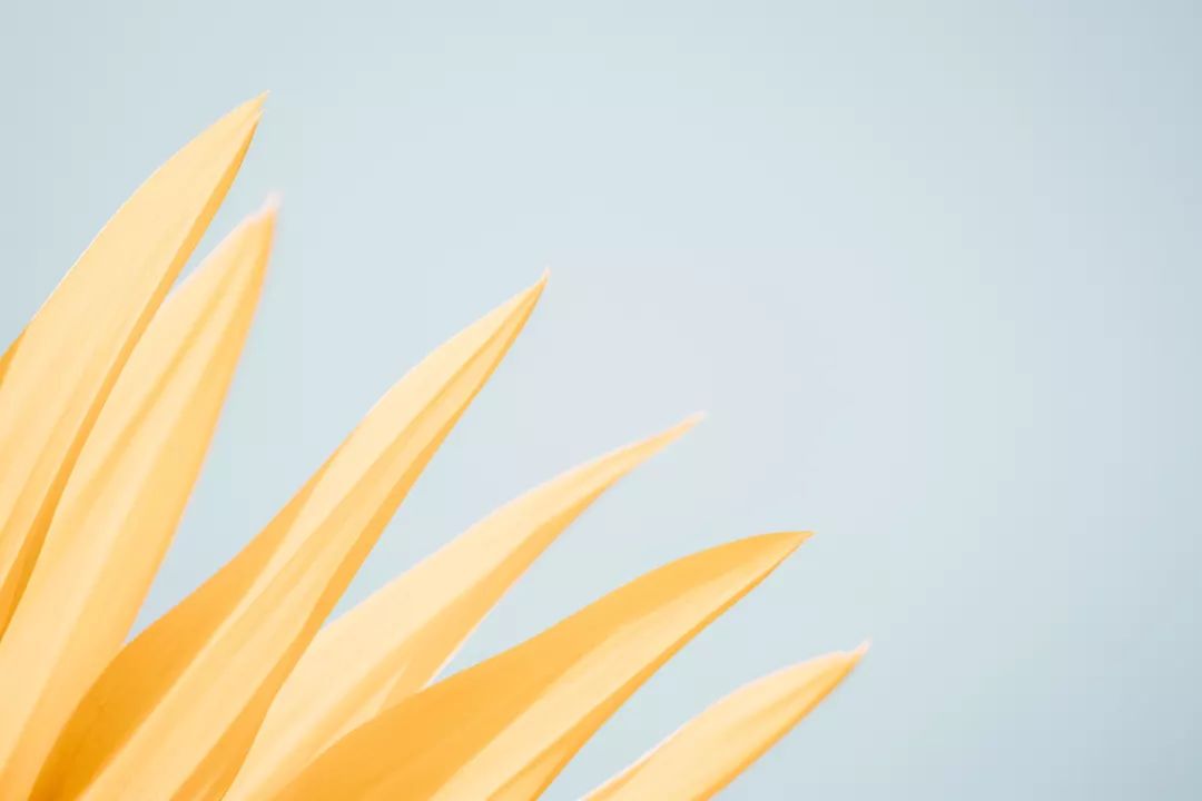                     一个宝妈的自述：我的宝贝是“自动吐奶机”