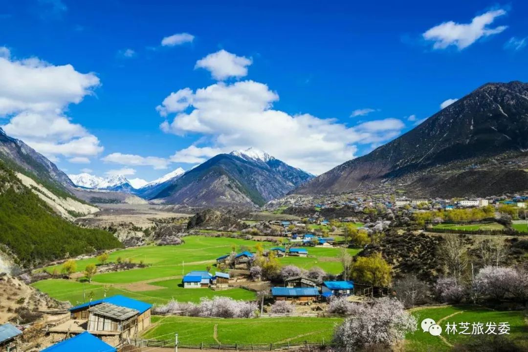 关于住宿:波堆桃花谷附近的古乡,波密县城,岗村都能提供优质的住宿