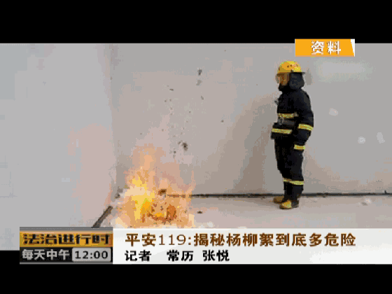 烦人的杨柳絮上热搜！北京为何偏要种杨柳树？