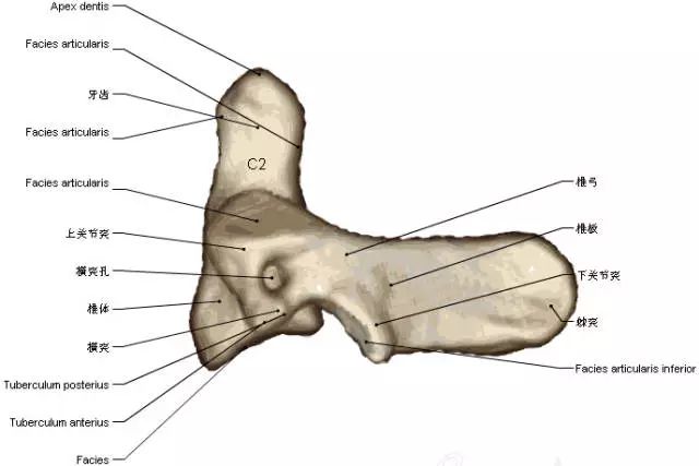 3b100fe03d2e400085c9b0a6c3803cae.jpeg