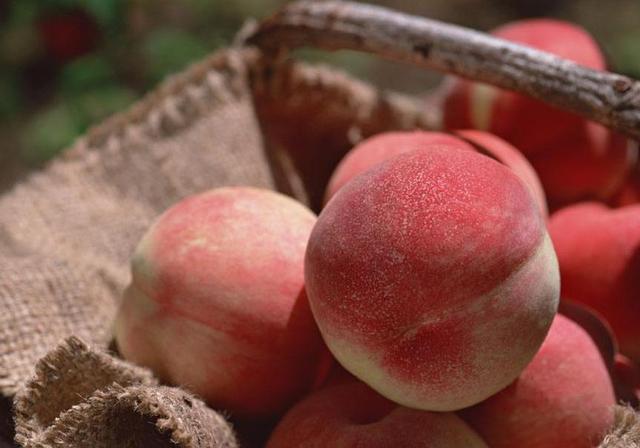 桃子怎么催熟 4b0939ef18094fef90b54efc5ada8856.jpeg