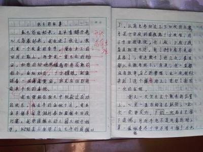 
原创
如何写好中考语文作文？优秀作文的要素有哪些？



