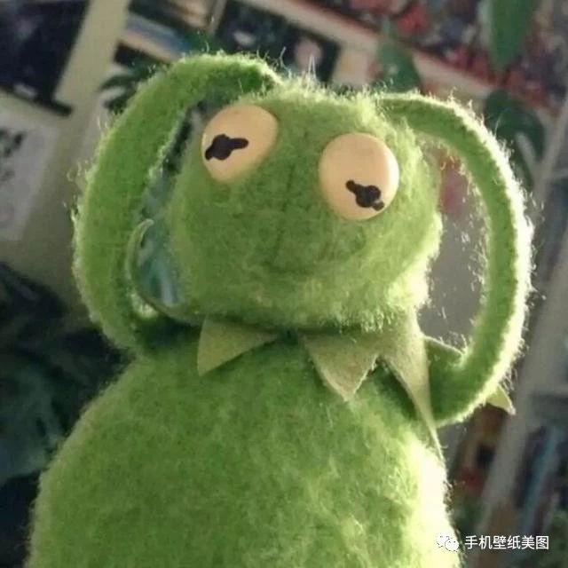 青蛙头像,最近很火的头像