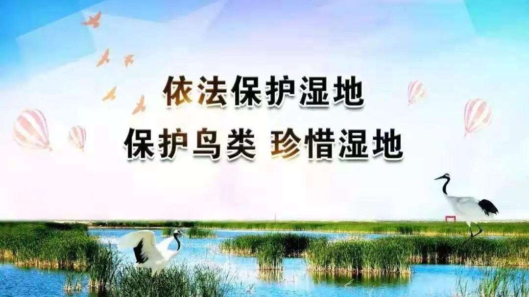 4dbde90eacc64a22a808d64043f0c93a.jpeg