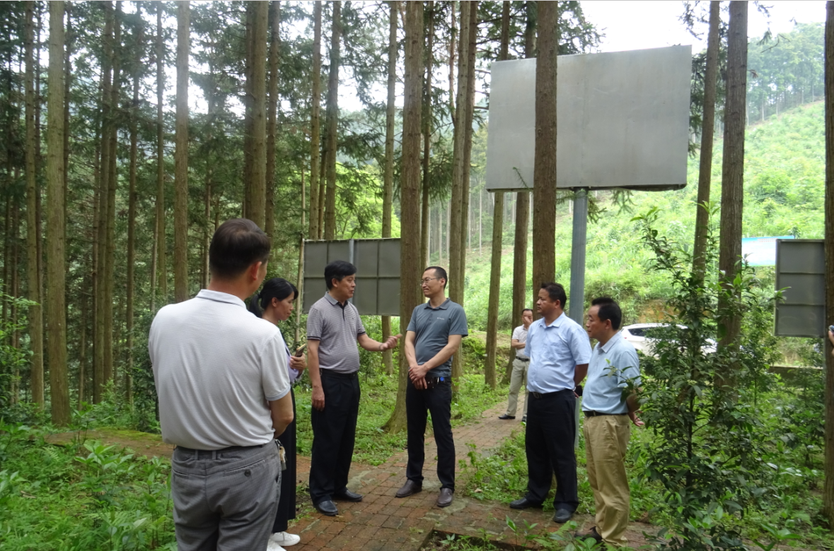 国有林场改革考察组赴梧州,桂平等市县国有林场学习考察