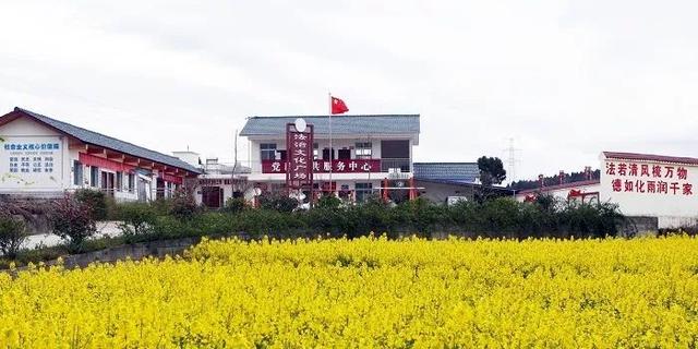 大塘乡人口_梧州市大塘小学图片(2)