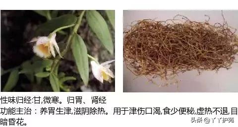 6400228a1f884177a6bbabc998bfc729.jpeg