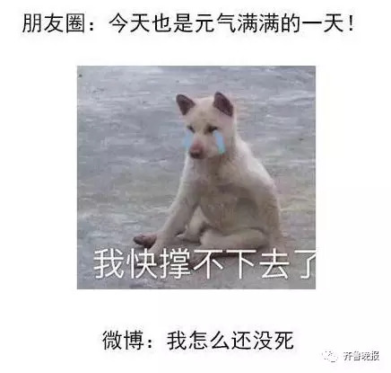 64e2a2672e29419a89bcdfeaf2dede14.jpeg