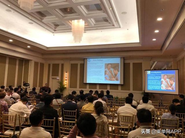 柬埔寨2018年经济总量_柬埔寨经济图