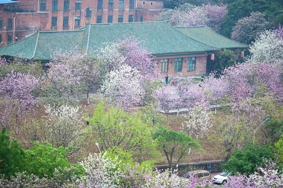盘点广东网红大学!下一个校园网红就是你!
盘点广东网红大学!下一个校园网红就是你!