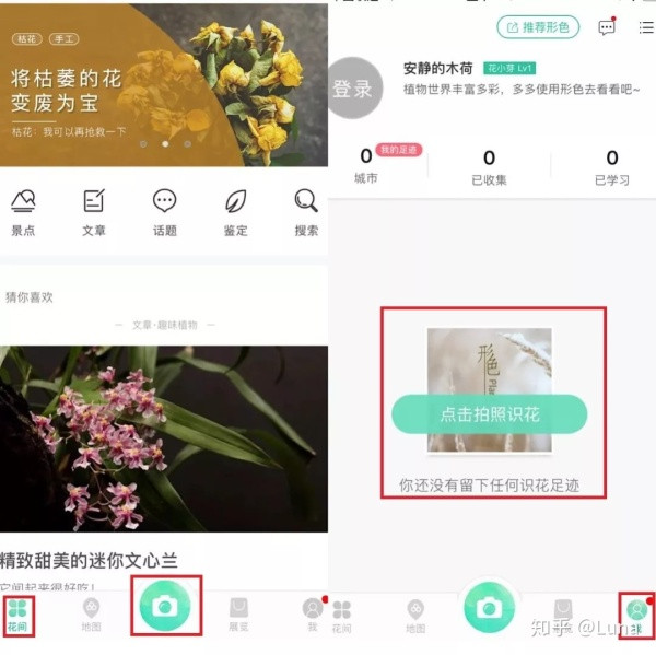 
AI产品分析（四）：形色“拍照识花”功能解析



