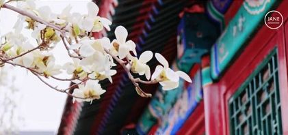 预告|新一周开始了,安排好你的行程吧! 亚博pp电子