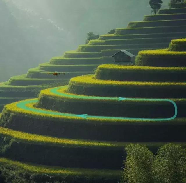 文章配图