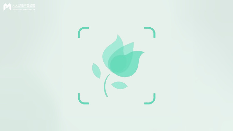
AI产品分析（四）：形色“拍照识花”功能解析


